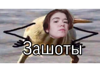 Sticker ( ЗАРИНАЗАШТО ) - 0