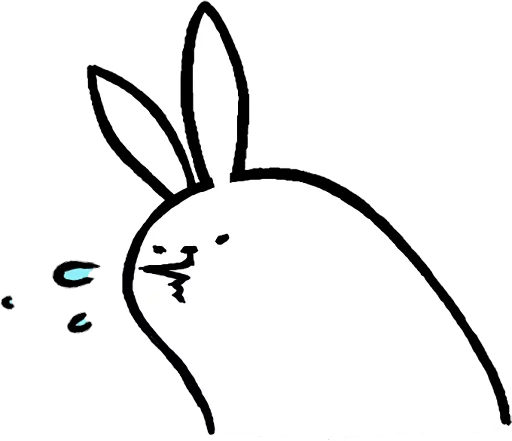 bunny rabbit rabbits and hares