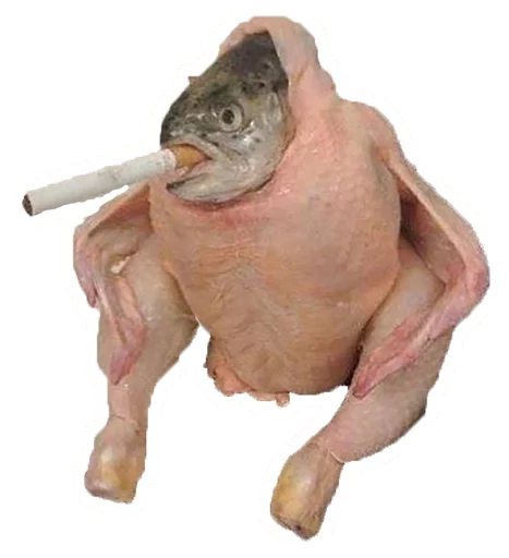 Sticker LITMEMESTICKERS - 1