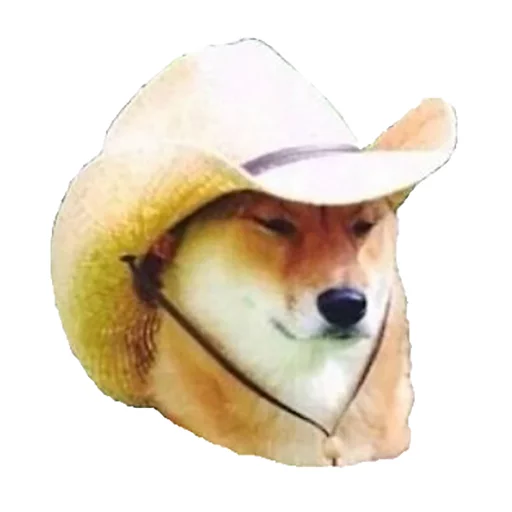 Стикер LITMEMESTICKERS - 1