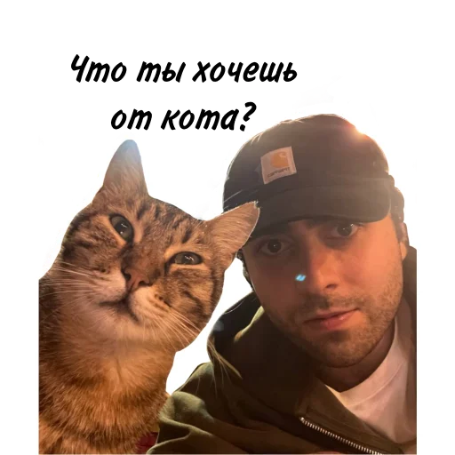 Sticker LIZERNASTOP - 1