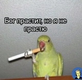 Sticker 💕Стики тут: @sekstick - 11