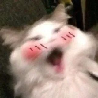 Sticker @sticksbb <— больше стиков💓💘💞 - 1