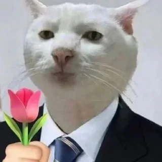 Sticker @sticksbb <— больше стиков💓💘💞 - 2