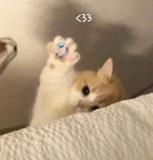 Sticker @sticksbb <— больше стиков💓💘💞 - 7