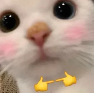 Sticker @sticksbb <— больше стиков💓💘💞 - 10