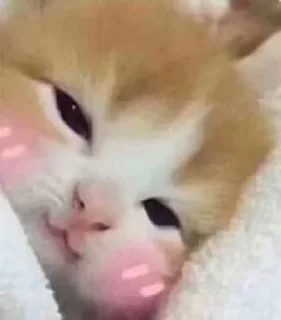 Sticker @sticksbb <— больше стиков💓💘💞 - 4