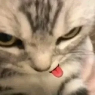 Sticker @sticksbb <— больше стиков💓💘💞 - 3