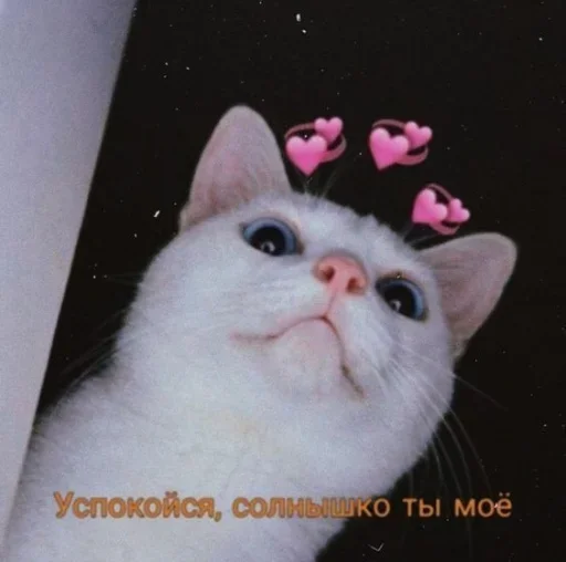 Sticker Стики из @Anonymnyi_chat_bot - 8