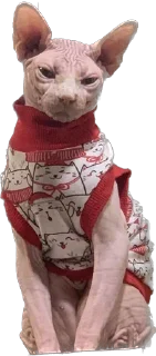 Стикер Loka_stick - 11