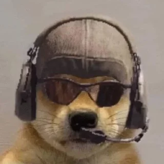 Sticker LOL COD (@ghost_channelll .prod) - 6