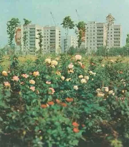 Sticker LOTRBNM_set_by_stikery22_bot - 1