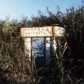 Стикер Новые стикеры в @stikeriq - 11