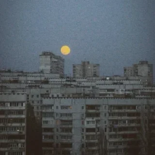 Стикер Новые стикеры в @stikeriq - 3