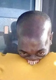 Sticker а що? @TgEmodziBot - 2