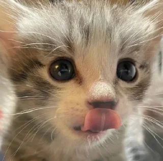 Sticker Больше стикеров 👉🏻 @stickertg4 - 9