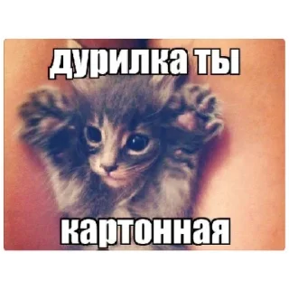 Sticker Больше стиков тут: @stikery4 - 6