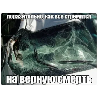 Sticker Больше стиков тут: @stikery4 - 1