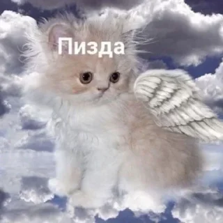 Sticker Больше стиков тут: @stikery4 - 1