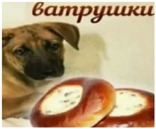 Sticker Стикеры тут: @stikeryv - 4