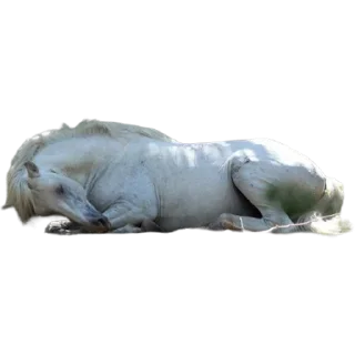 Sticker «Кованное Превосходство» @lullabysubaru - 0