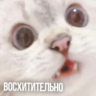 Sticker Создано в @sozdsti_bot - 10