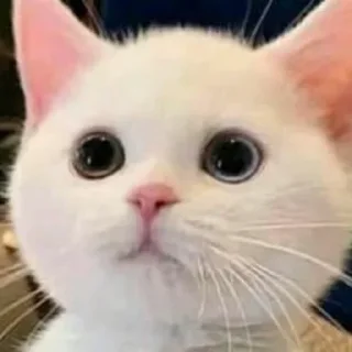 Sticker Создано в @sozdsti_bot - 8