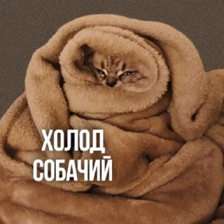 Sticker Создано в @sozdsti_bot - 7