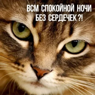 Sticker Создано в @sozdsti_bot - 4