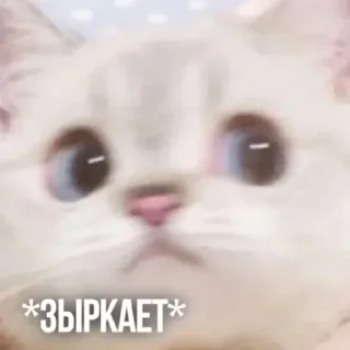 Sticker Создано в @sozdsti_bot - 9