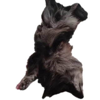 Sticker Лютик что-ли - 0