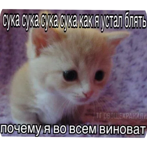 @sticksbb <— больше стиков💓💘💞 - 