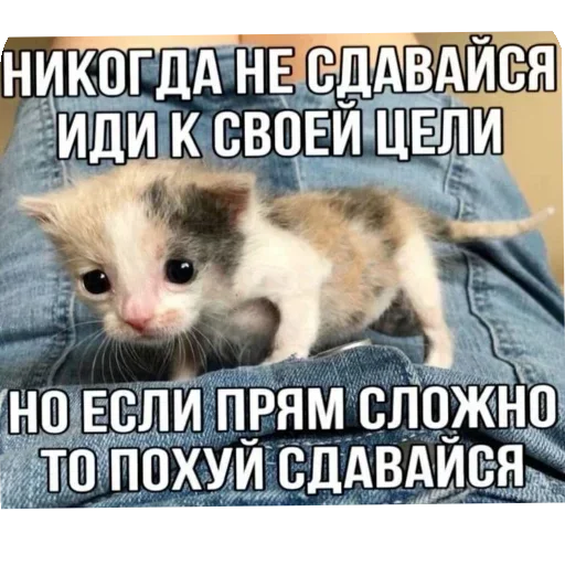 Sticker LXMWXYA_by_stikers_du_ark_bot - 1