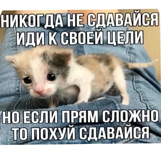 Стикер @sticksbb <— больше стиков💓💘💞 - 7