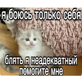 Стикер @sticksbb <— больше стиков💓💘💞 - 4