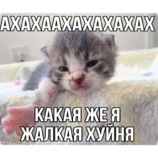 Стикер @sticksbb <— больше стиков💓💘💞 - 11