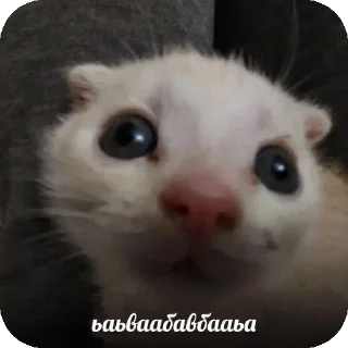 Стикер @sticksbb <— больше стиков💓💘💞 - 8