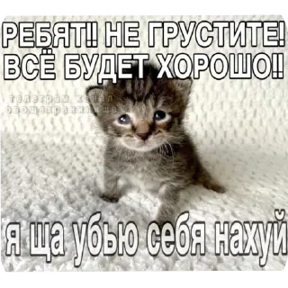 Стикер @sticksbb <— больше стиков💓💘💞 - 6