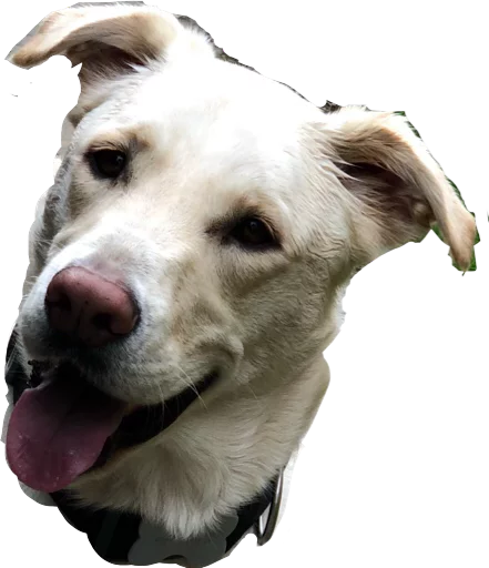 Sticker LaHaHeL - 11