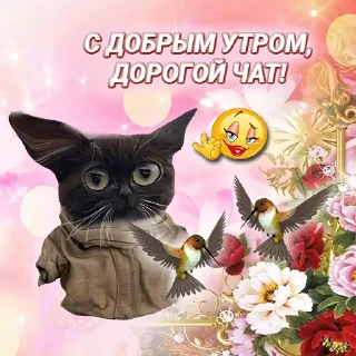 Стикер La Bodega - 2