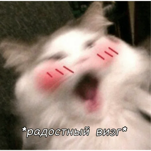 Sticker La_Na826 - 1