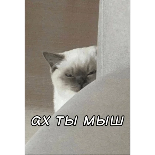 Sticker La_Na826 - 1