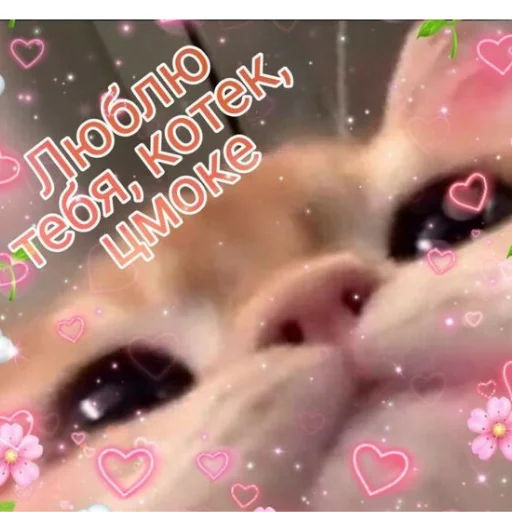 Sticker Лачиболаа - 4