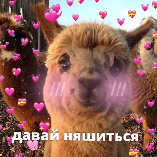 Стикер Skykot - 7