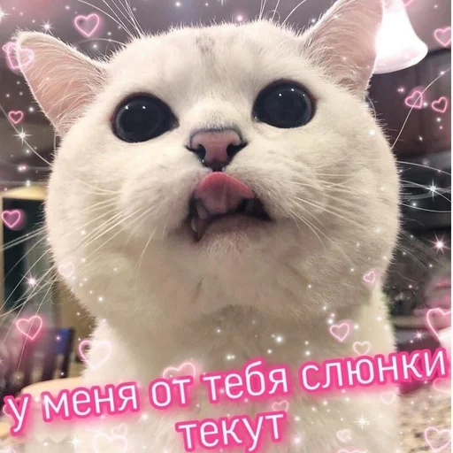 Стикер Skykot - 6