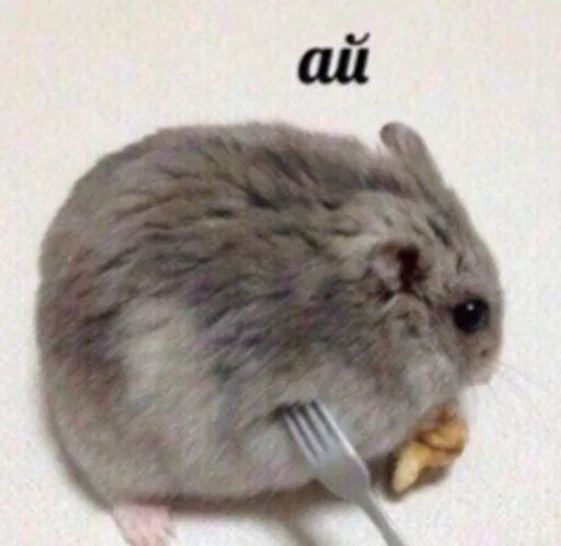 Стикер Skykot - 1