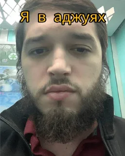 человеческое лицо человеческая борода селфи