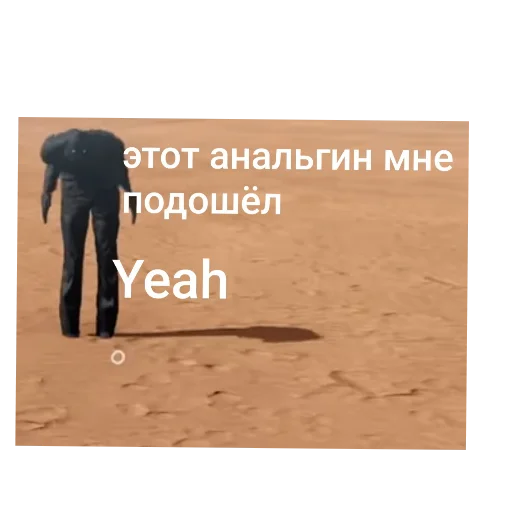 text mammal screenshot