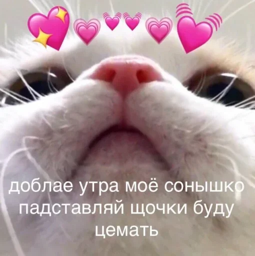 Стикер Lalala_7777 (lalalend_5)2.0 :: @fStikBot - 6