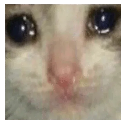 Sticker 👺 by @fStikBot - 8